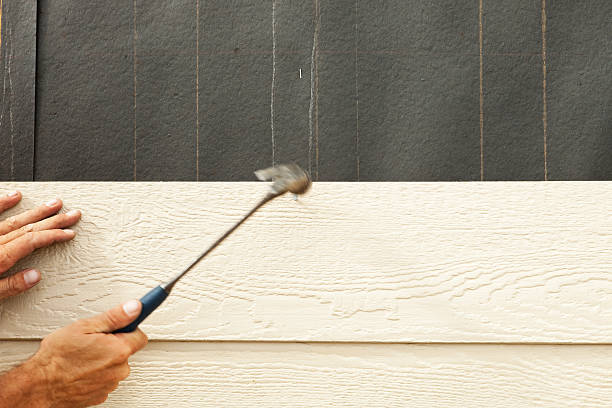 Best Steel Siding Installation  in Hawarden, IA